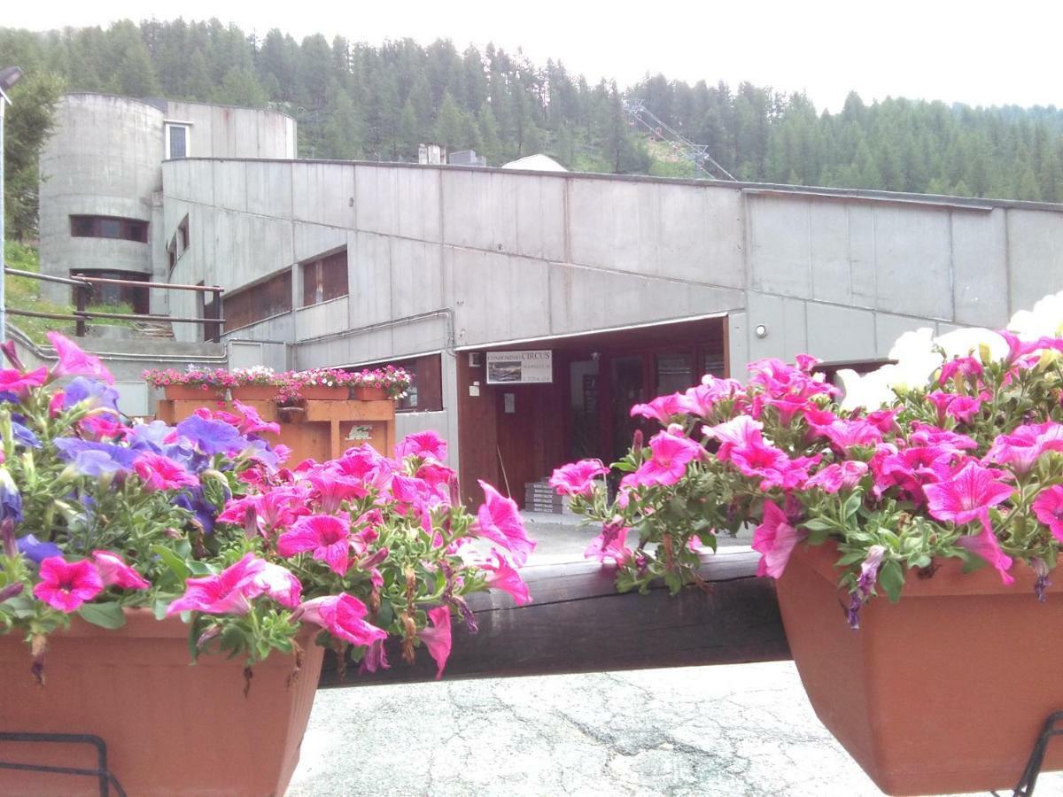 Cervinia Ski In Ski Out - Studio On The Slopes Breuil-Cervinia Exterior foto